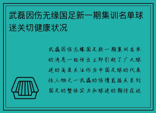 武磊因伤无缘国足新一期集训名单球迷关切健康状况 武磊因伤无缘国足新一期集训名单球迷关切健康状况